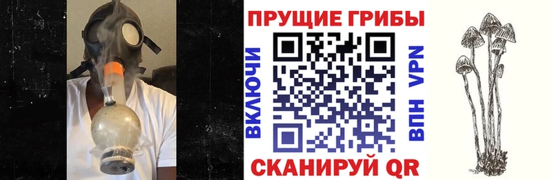 наркошоп  KRAKEN зеркало  Псилоцибиновые грибы мицелий  Фёдоровский 